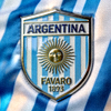 阿根廷国家队队徽特写